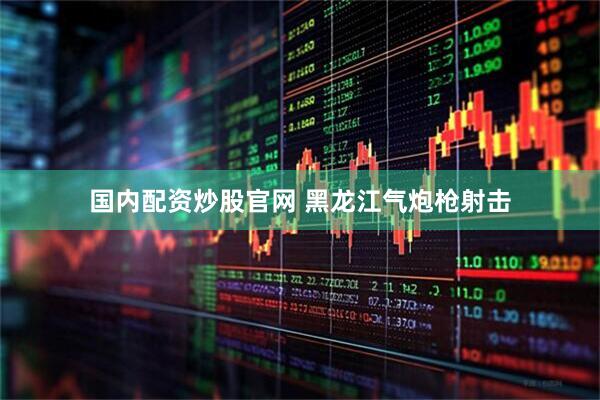 国内配资炒股官网 黑龙江气炮枪射击